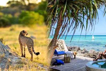 14 Days Tanzania-Safari and Zanzibar-Ways African Safari