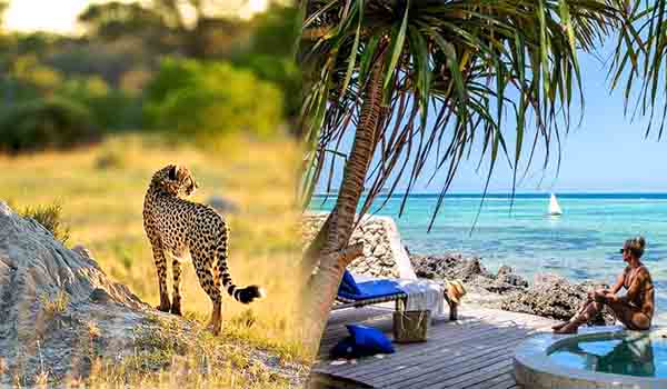 14 Days Tanzania-Safari and Zanzibar-Ways African Safari