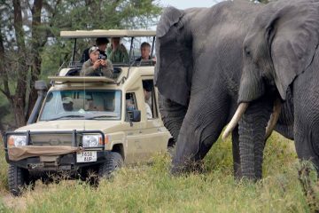 5 Days Safari Dar es Salaam - Selous Game Reserve