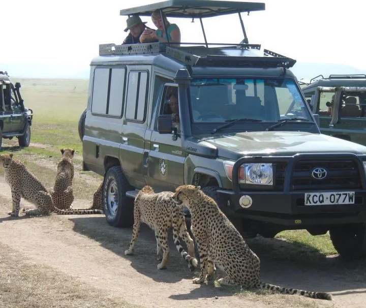 06 days Lodge Safari in Tanzania ways african safaris