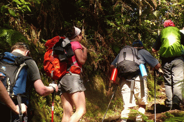 kilimanjaro short climbs ways african safaris tanzania