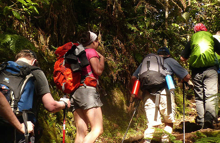 kilimanjaro short climbs ways african safaris tanzania