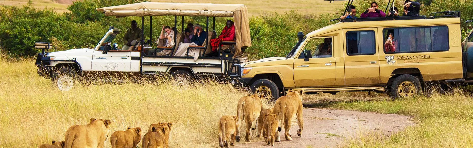 Kenya Safaris