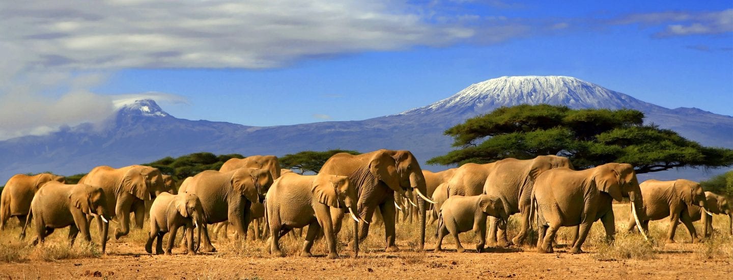 Mount Kilimanjaro Treks